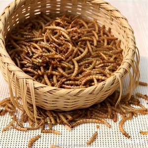 Vermi della Farina Essiccati di Alta Qualità per Snack di Criceti, Porcellini <span class=keywords><strong>d</strong></span>'India e Piccoli Roditori, Prelibatezze Salutari - Product Image 3