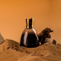 Flacon de parfum de luxe 100 ml avec pulvérisateur à pompe en verre rond unique estampé or sérigraphié et diffuseur à bâtonnets