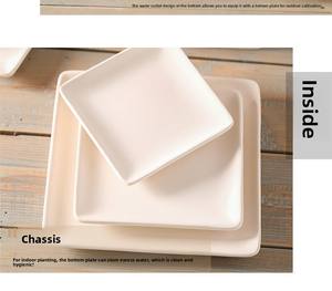 P190 Pots de <span class=keywords><strong>fleurs</strong></span> bon marché, design dégradé personnalisé, pots de <span class=keywords><strong>fleurs</strong></span> givrés pour plantes succulentes, pour décoration de salon et de maison - Product Image 5