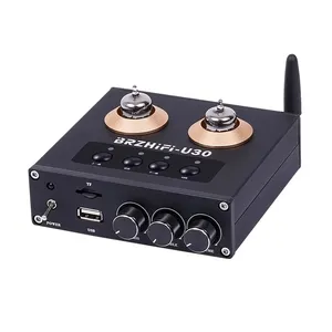 Préamplificateur audio Weiliang U30 Bile Front Stage BT <span class=keywords><strong>U</strong></span> Disk Fever à <span class=keywords><strong>tubes</strong></span> électroniques 2.0 canaux, amplificateur de <span class=keywords><strong>musique</strong></span> fabriqué en Chine continentale - Product Image 1