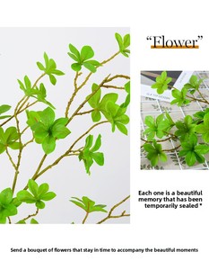 D248 Multi-Petal Bell Leaves Seven-Star Texture Plantes en soie collée Verdure pour le salon de la maison - Product Image 4