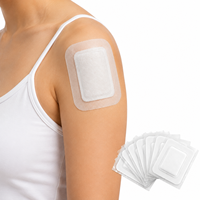 Patch corporel jetable à base de plantes OEM, économique, pour soulager les tensions quotidiennes des épaules, faible MOQ, pansement de soin des épaules à base de plantes