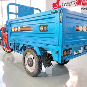 Tricycle électrique de cargaison de camion de grande capacité de charge lourde de cabine fermée de 850W