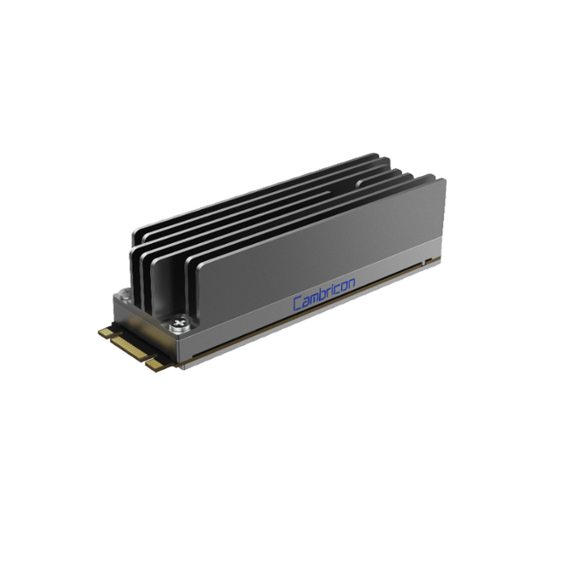 Siyuan 220 Siyuan 220 M.2 edge end artificial intelligence acceleration card