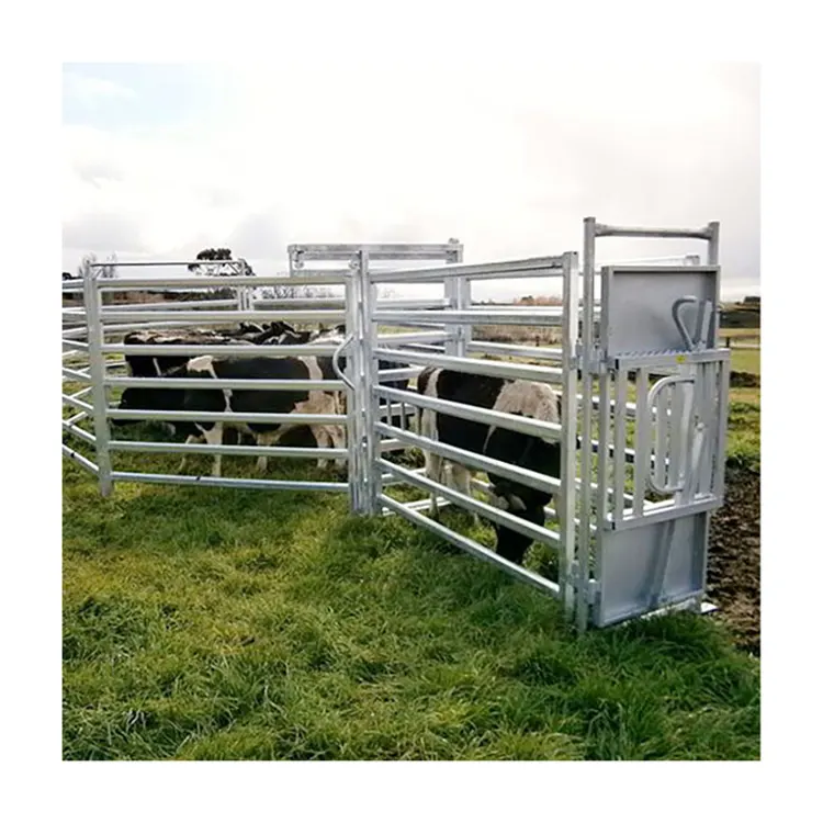 Pannello per bovini in metallo zincato per impieghi gravosi da 16 piedi per allevamento di bestiame per cavalli pannelli di recinzione