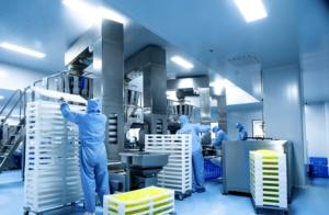 OEM 야간 팻 버너 보충제 60 캡슐 녹색 커피 콩 추출물 성인용 직송 - Product Image 5