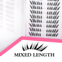 Extensions de cils en grappe DIY Heart Girl Wholesale Fox, 10 rangées
