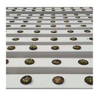 Système de culture hydroponique vertical NFT, petits tuyaux en PVC de qualité alimentaire, installation facile, kits pour serres agricoles