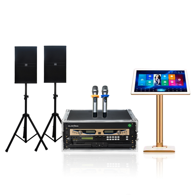DK750 SURPASS a Full Set of Home Karaoke Machines for Weekend Entertainment
