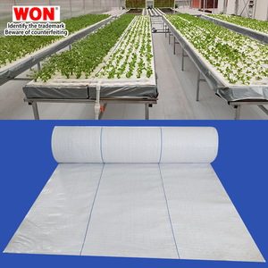 <span class=keywords><strong>MR</strong></span> WON, venta al por mayor, geotextil tejido blanco, cubiertas de invernadero, tela de paisaje, tela bloqueadora de malezas para agricultura, cubierta de suelo blanco - Product Image 3