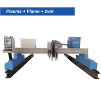 Machine de découpe plasma à portique pour poutres métalliques avec moteur pas à pas et tête de perçage – Système de découpe CNC de tôles à haute productivité