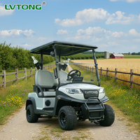 Voiturette de golf électrique 48V 4KW 2 places homologuée pour la route, véhicule utilitaire avec une autonomie de 100 km pour l'agriculture et les visites touristiques