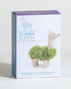 Vendita di fabbrica certificato Sedex graines de chia bio garden grow kit <span class=keywords><strong>fai</strong></span> <span class=keywords><strong>da</strong></span> <span class=keywords><strong>te</strong></span> lama per chia pet fioriera vasi carini per piante regalo - Product Image 4