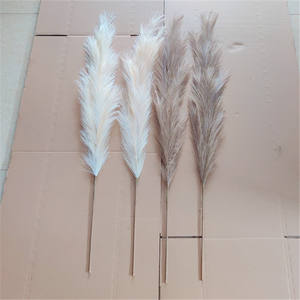 Pampas-Servicio de Inspección de hierba, control de calidad de inspección de tres partes, en la zona de Shandong Yunnan - Product Image 4