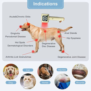 ペット赤青光治療器具獣医レーザー治療装置効果的な乾癬治療機 - Product Image 4