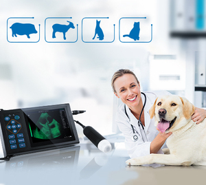 <span class=keywords><strong>Scanner</strong></span> de grossesse portable pour moutons, bovins et porcs Medco de haute qualité, appareil d'échographie vétérinaire pour animaux - Product Image 2