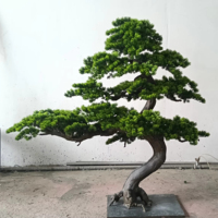 Pins Métalliques : Pin Bonsaï Artificiel, Faux Pins, Plantes Artificielles
