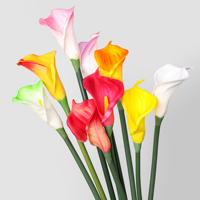 Fleur artificielle Calla Lily en PU grande taille pour la décoration de mariage, de salon, les arrangements floraux DIY et la décoration de fête (vente en gros)