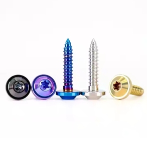 <span class=keywords><strong>GR5</strong></span>カラフルチタンTorxヘッドセルフタッピングネジ - Product Image 4