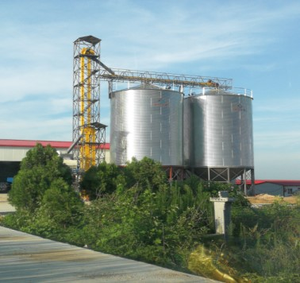 <span class=keywords><strong>Silo</strong></span> à céréales en acier galvanisé de 50T-5000T pour les fermes et les usines d'alimentation en Afrique |   Ensemble de vis pour trémie à fond plat - Product Image 1