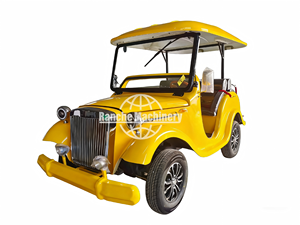 รถยนต์ไฟฟ้าคลาสสิกวินเทจสุดหรูสำหรับการขนส่งในโรงแรมและสนามบิน - Product Image 4