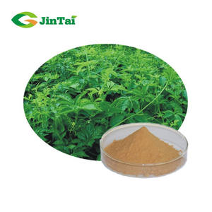 Estratto biologico di Jiaogulan in polvere 98% Gypenosides | Gynostemma Pentaphyllum in polvere solubile in acqua | Integratore sanitario e cura della pelle - Product Image 1