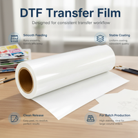 Film PET DTF à revêtement stable en gros, rouleau de 30 cm et 60 cm, film PET à décollement à chaud pour imprimantes DTF, impression numérique, transferts DTF