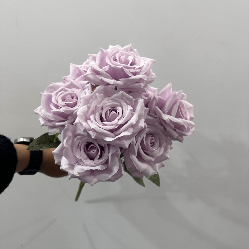 Pourpre clair