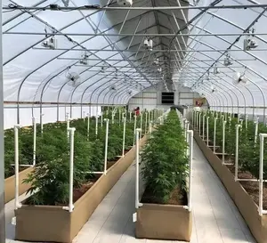 Vollfarbiges Gewächshaus gebrauchtes Filzpflanzen Anbaubeete mit vertikaler Stange