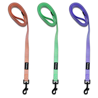Laisse pour chien rayée de haute qualité avec mousqueton durable pour la promenade et la course, adaptée à toutes les races de chiots
