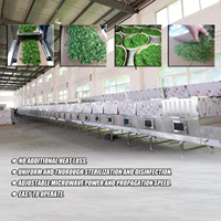 Machine de séchage continue pour tubes en papier et carton, entièrement automatique, chauffage électrique, boîte de vitesses alimentaire, pompe PLC, SUS316L