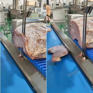 Heavy Duty Automatic Pet Food Meat Block Slicer Industrial Frozen Composite Meat Slab Cutter <b>Bone</b> <b>Sawing</b> Machine for Pet Snack - Product Image 5