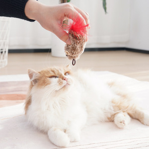 Manufacturer Wholesale Interactive Pet Toy Plush <b>Mouse</b> with Feather Encourages Movement & Engagement for Cats - Product Image 3