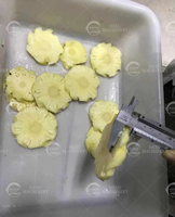 Hoge Capaciteit Jackfruit Snijmachine Broodfruit Snijsnijmachine Breadfurit Verwerkingsapparatuur