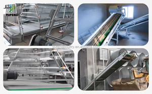 Melhor Qualidade em Gaiolas Automáticas Novas de Aço Inoxidável para Galinhas Poedeiras em Granjas Avícolas - Product Image 6