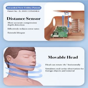 Maniquí <span class=keywords><strong>de</strong></span> RCP <span class=keywords><strong>de</strong></span> Medio Cuerpo al por Mayor para Entrenamiento en <span class=keywords><strong>Ciencias</strong></span> Médicas con Indicaciones <span class=keywords><strong>de</strong></span> Voz para Profundidad y Posición <span class=keywords><strong>de</strong></span> Compresión para Escuelas - Product Image 4