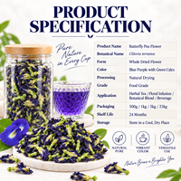 Fleur de pois papillon séchée, ingrédient pour tisane, thé aux fleurs bleues naturelles, fournisseur en gros