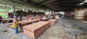 Contreplaqués Keruing indonésiens personnalisables Panneaux décorés multicouches de haute qualité E0 Formaldéhyde Standard Pin pour usage hospitalier - Product Image 4