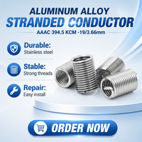 Stainless Steel Polished Fully Threaded Metric Thread Inserts with Slotted Drive System