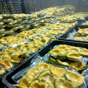 Avocat Entier Congelé de Haute Qualité avec Douceur Naturelle, Emballage Sous Vide (Procédé BQF) – Fournisseur Vietnamien, Meilleur Choix 2025 Hazel - Product Image 6
