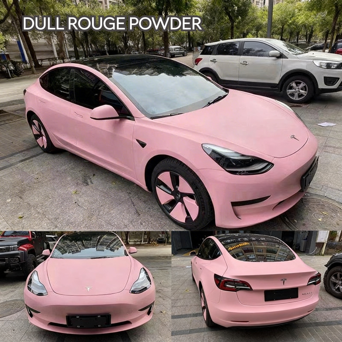 PET-DULL ROUGE POWDER