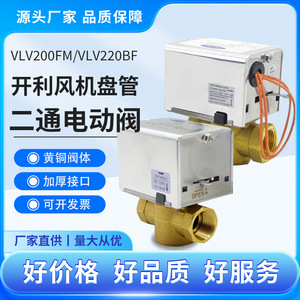 Vlv220fm Bm Électrovanne bidirectionnelle électrique à corps en cuivre normalement ouverte pour systèmes de chauffage - Product Image 5
