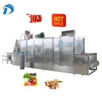 Complete Automatische Fruitgroenteverwerkingslijn Cassave Chips Druivendroogmachine