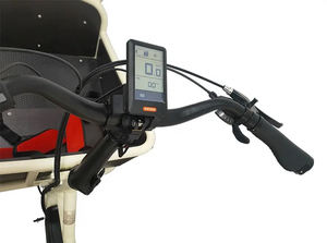 2 ruote Mid Drive elettrico città pendolare Cargo bici <span class=keywords><strong>bicicletta</strong></span> <span class=keywords><strong>con</strong></span> cestello anteriore Cargo Box Bafang Bakfiet elettrico Cargo Bike olandese - Product Image 5