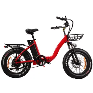 750w cargo ebike beach cruiser con 48V 15Ah super power DDP negli stati uniti