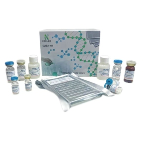 High Purity Bovine Serum Albumin (BSA) CAS 9048-46-8 Fraction V Powder For Cell Culture ELISA Blocking Biochemical Reagent For - Product Image 2
