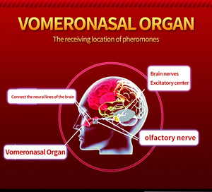 Gel Orgasmique Féminin Tendance : Intensificateur de Désir Sexuel, Liquide Excitant pour Femmes, Gouttes Orgasmiques, Huile Raffermissante Vaginale - Product Image 3