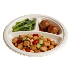 Assiette jetable biodégradable en bagasse à 3 compartiments, résistante à l'eau et à l'huile, compatible chaud et froid - Product Image 1