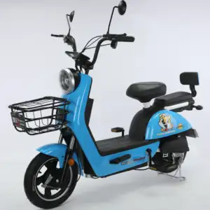 2024 हाई स्पीड इलेक्ट्रिक डर्ट बाइक इलेक्ट्रिक साइकिल ई-बाइक 48V 1000W फैट टायर स्नो ईबाइक