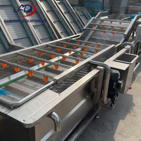 Laveuse à bulles d'air d'occasion économique avec convoyeur pour le traitement des fruits et légumes, en stock